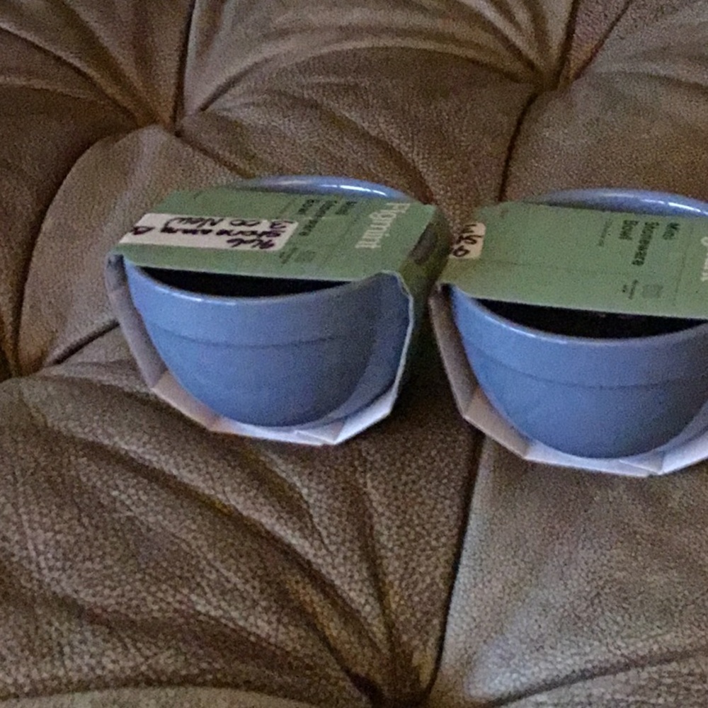 Pair of Blue Ceramic Bowls figment brand new